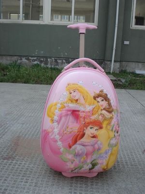 ABS fashion trolley travel bag 