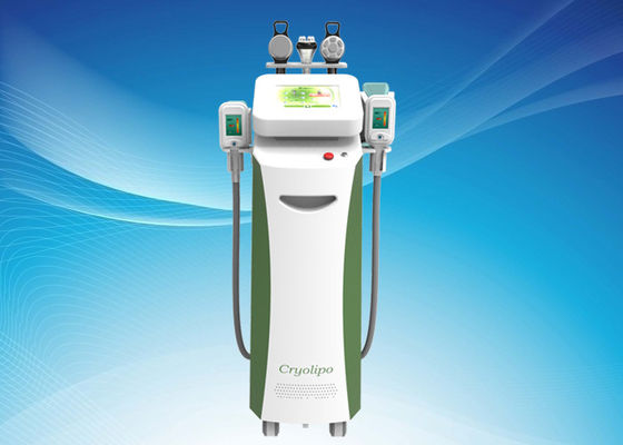 Cuerpo de Cryolipolysis que forma el equipo/Cryolipolysis de la belleza que adelgazan la máquina para la reducción gorda no invasor